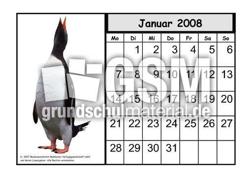 Tier-Kalender-08-01.pdf